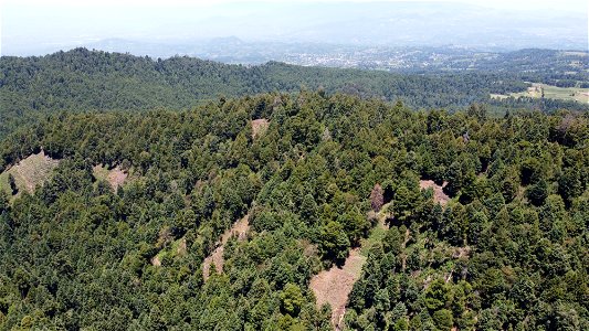 SEIARN_SEIF_DSIA_FERNANDO_VALDEZ_CALDERÓN_DJI_0083