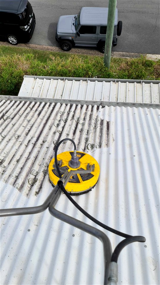 Alltech Coatings Roof Clean..