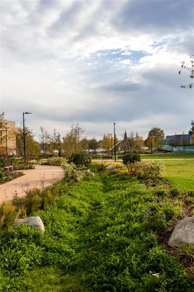 181104 Woodberry Down + Spring Park SuDS (10 of 19)