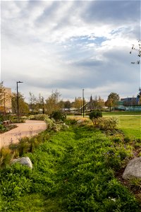 181104 Woodberry Down + Spring Park SuDS (10 of 19)
