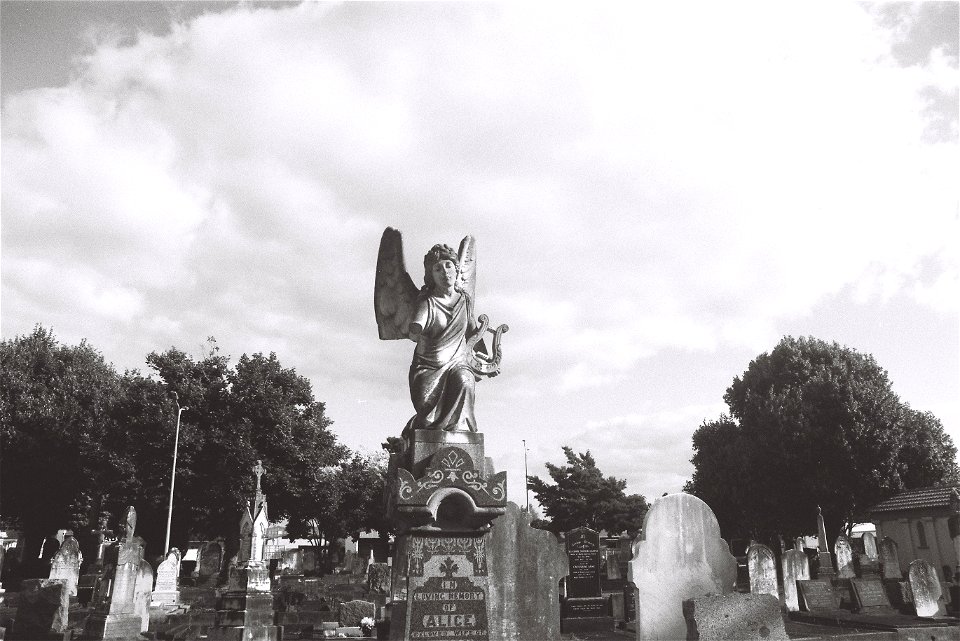 Terrace End Cemetery (2023)