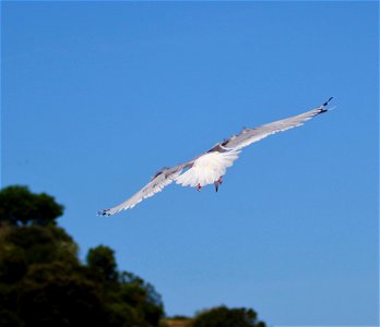 IMG_7514