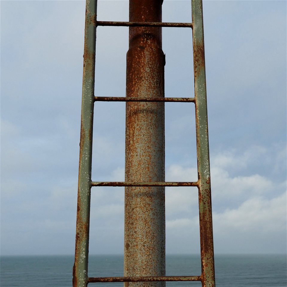 green ladder leading to somewhere