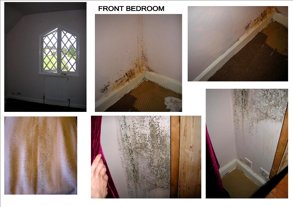FRONT BEDROOM 2008