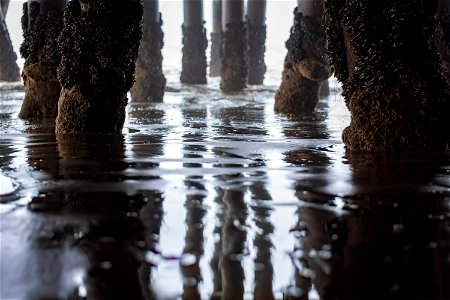 Reflections Under the Pier photo