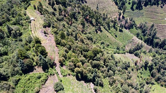 SEIARN_SEIF_DSIA_FERNANDO_VALDEZ_CALDERÓN_DJI_0071