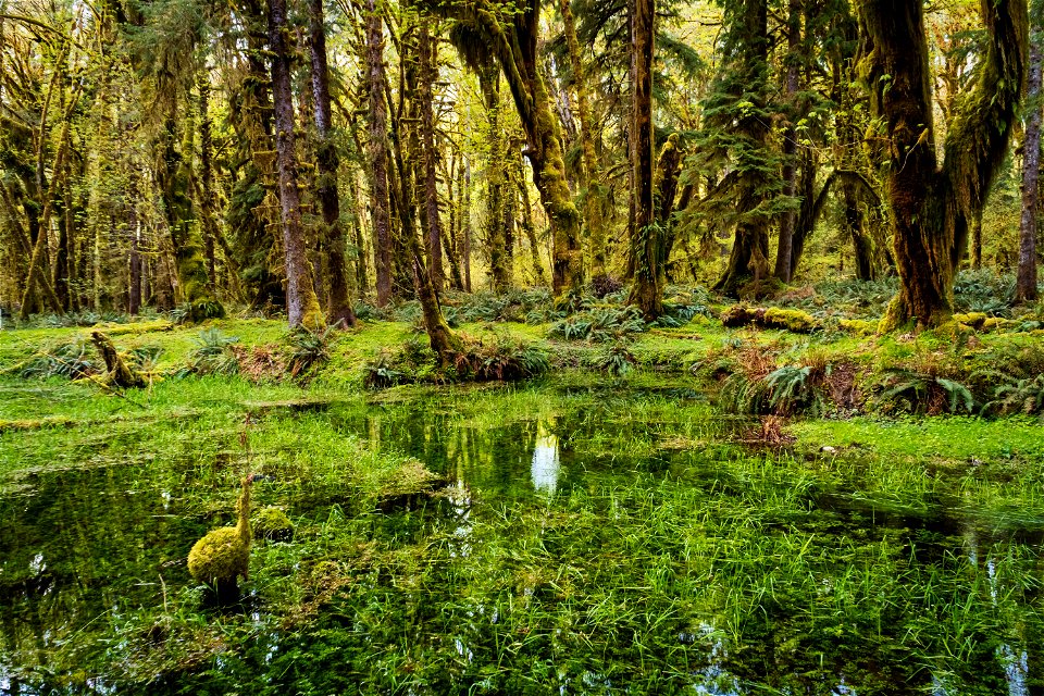 OlympicNF_CC_Geoff Livingston