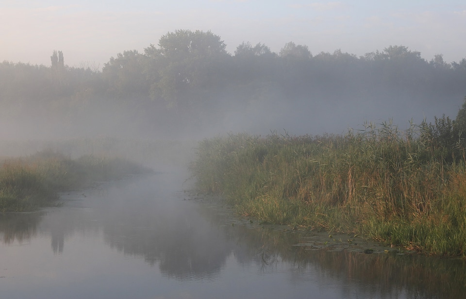 Desna river Vinn meadow