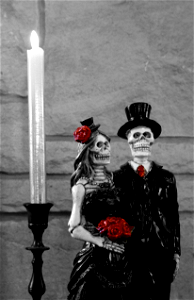 Skeleton Bride and Groom (Selective Color) photo