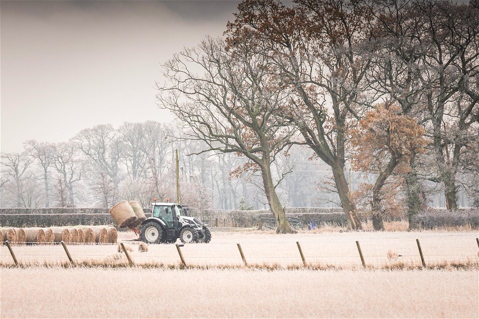 Frosty morning farming