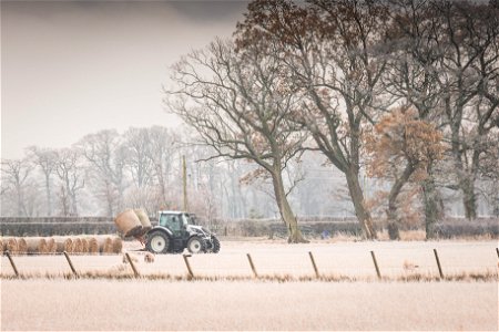 Frosty morning farming photo