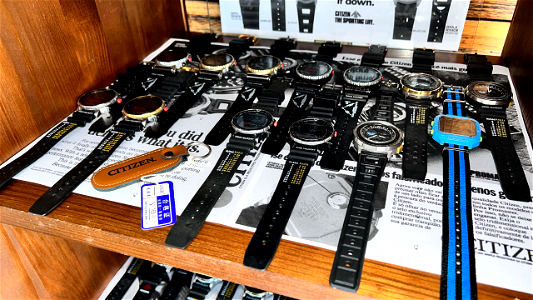 Citizen Wind Surfing 80's Collection
