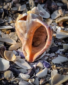 Nature broken sand