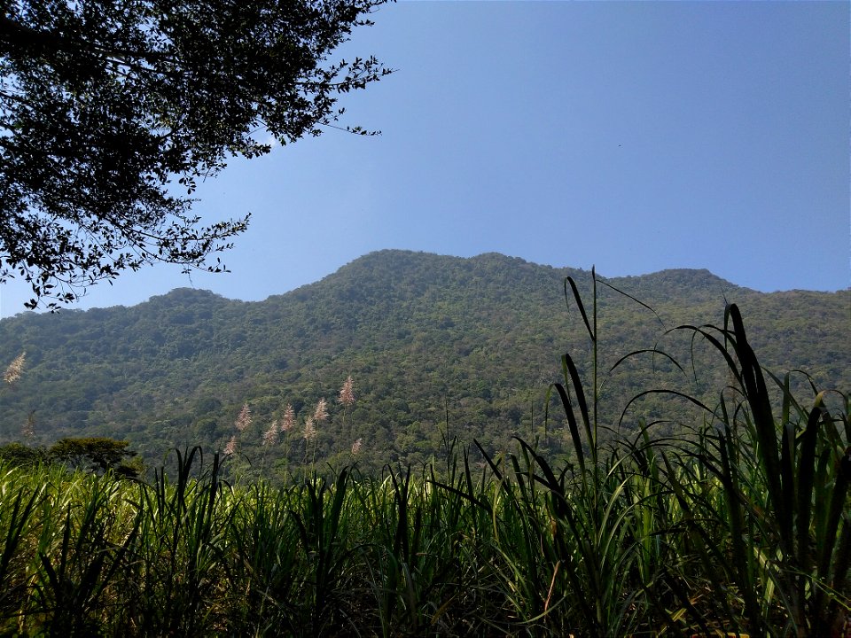 Cerro Chicahuaxtla