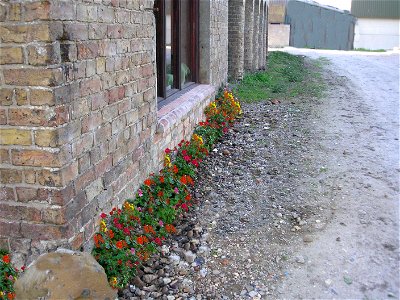 little-keZZZZlk-farm-driffield-east-yorkshire_37247760885_o