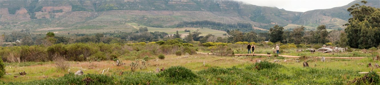 Tokai Forest photo