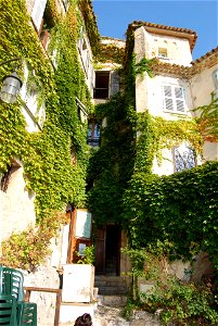 Looking at the houses