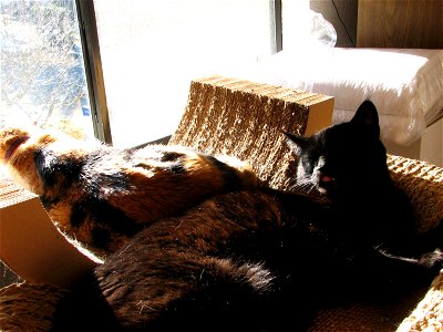 Picture 004