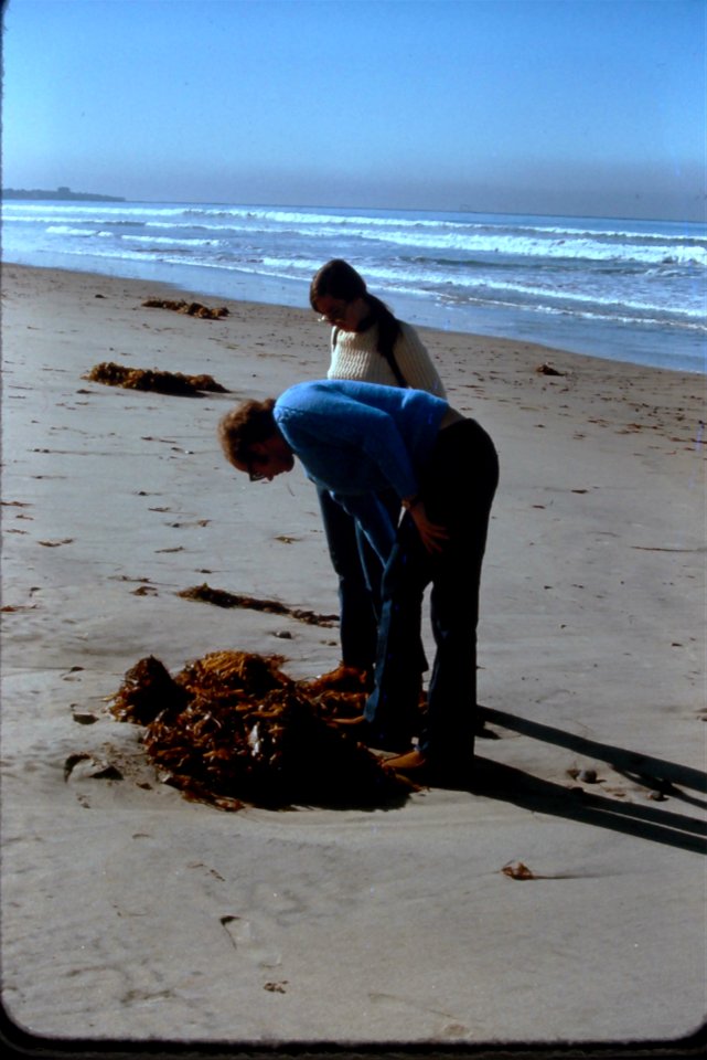 1974-09-CALI-TorreyPines-beach-08