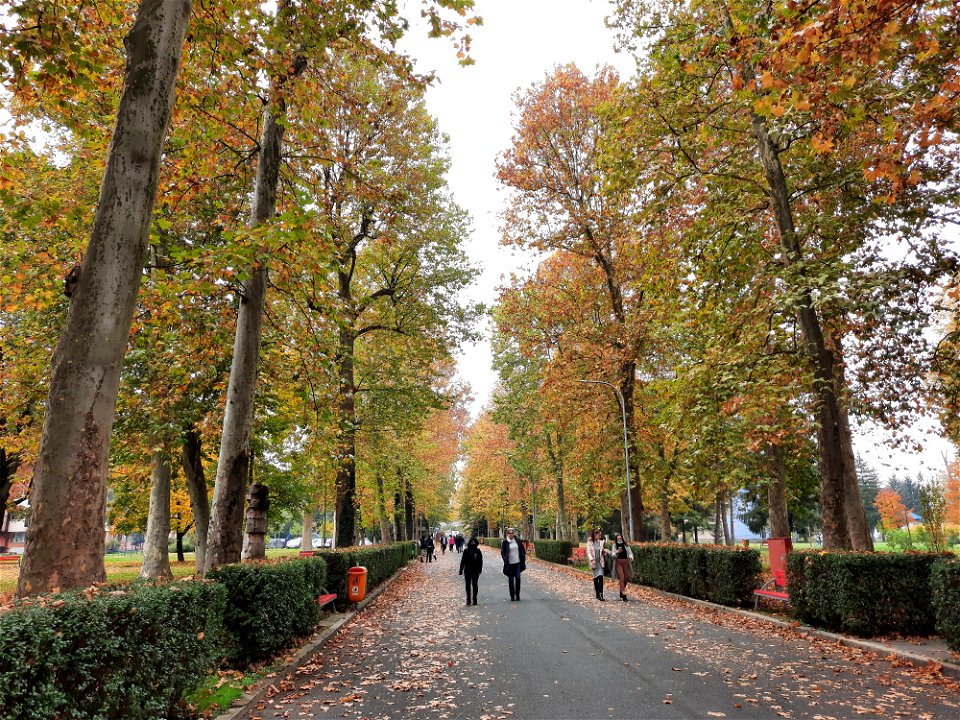 Autumn in Campus of University of Banja Luka, BiH (1)