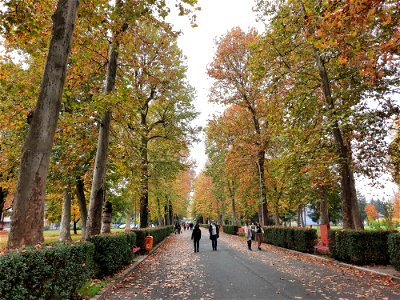 Autumn in Campus of University of Banja Luka, BiH (1)