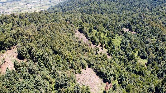 SEIARN_SEIF_DSIA_FERNANDO_VALDEZ_CALDERÓN_DJI_0090