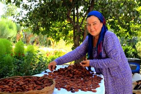 Feed the Future Dried Apricots