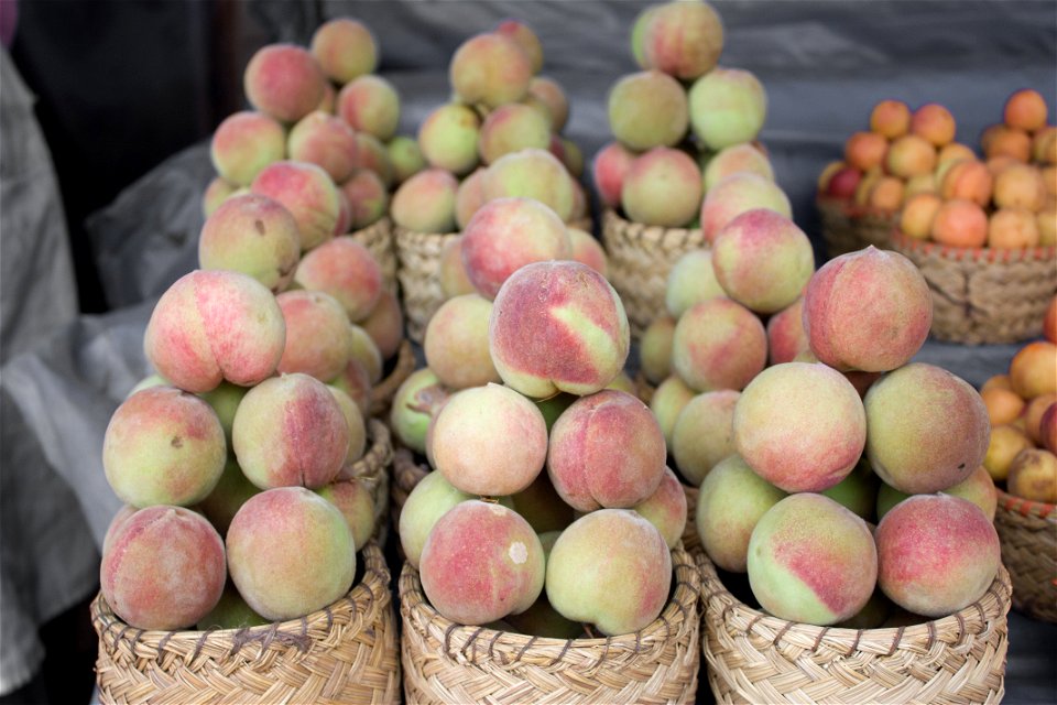 Peach