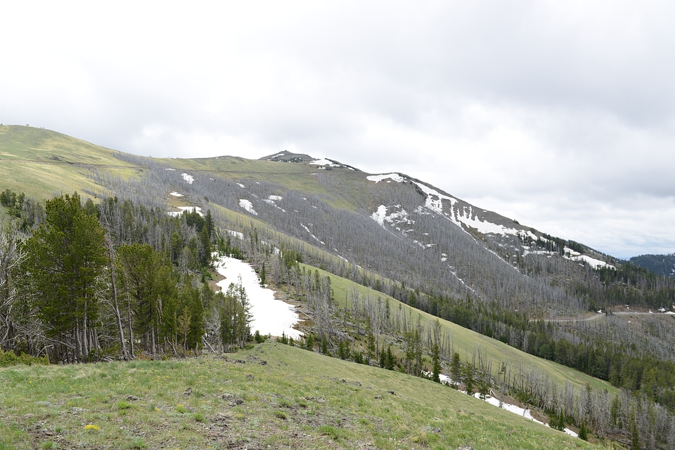 Mount Washburn Trail, Yellowstone National Park