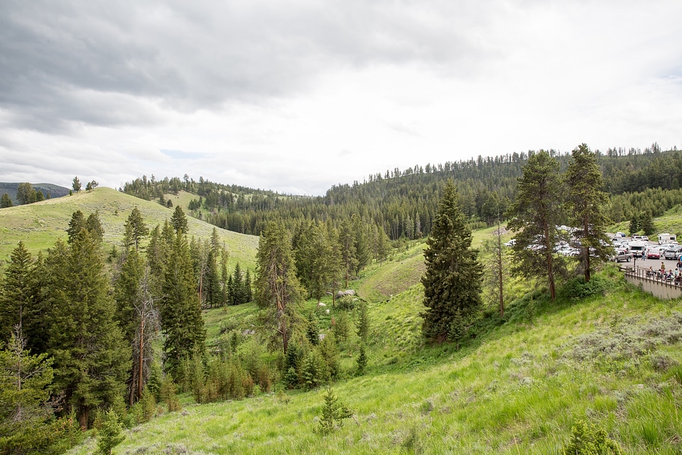 Mount Washburn Trail, Yellowstone National Park