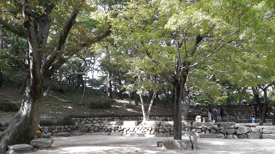 Bulguksa temple in Gyeongju South Korea