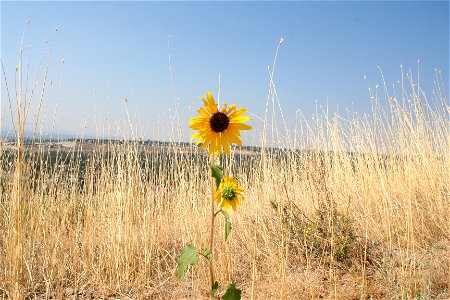 IMG_9606