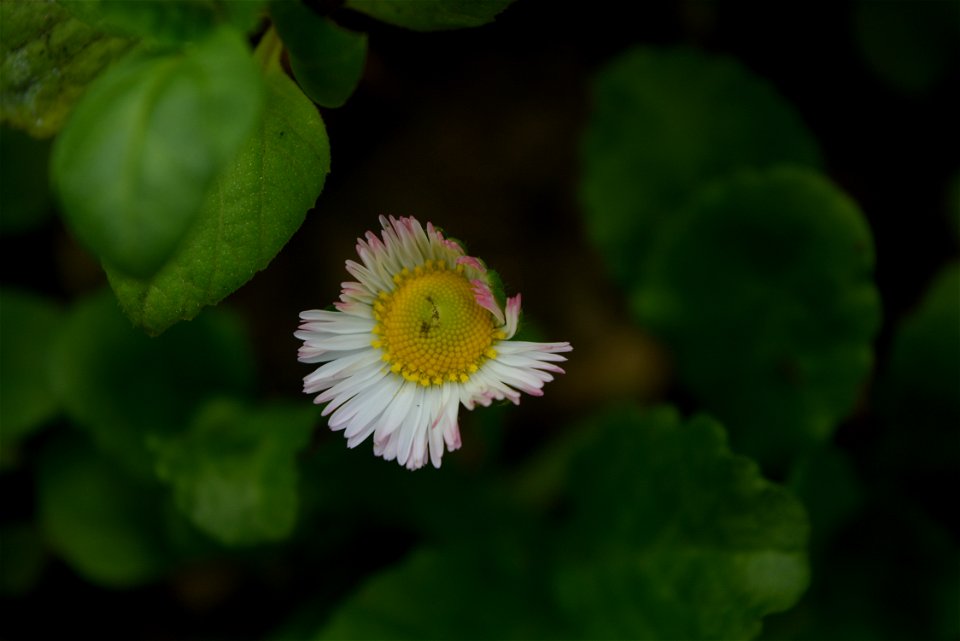 DSC_1889