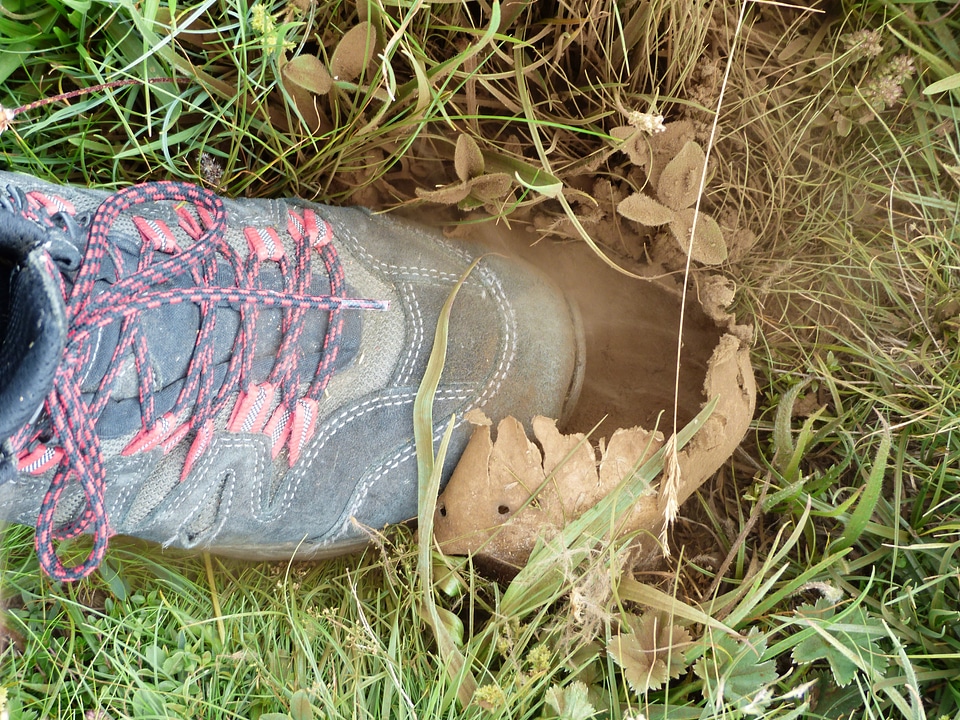 Crush spores mountain shoe