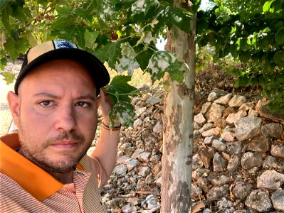 Juli Amadeu Àrias junto a uno de los 2000 plátanos de sombra enfermos del municipio