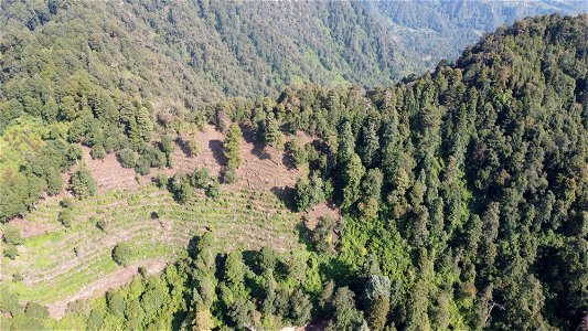 SEIARN_SEIF_DSIA_FERNANDO_VALDEZ_CALDERÓN_DJI_0476