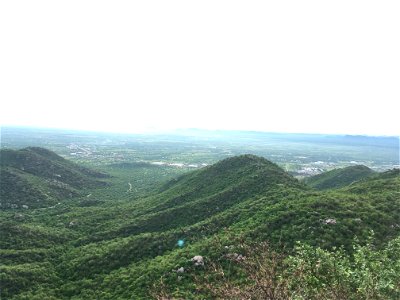 IMG_0202