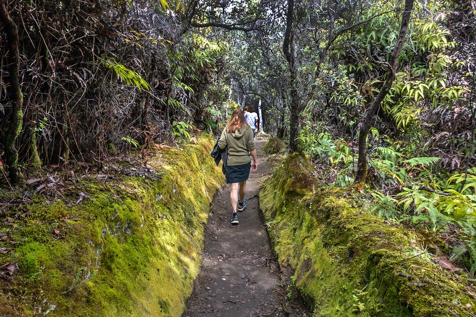 Halemaumau Trail hikers
