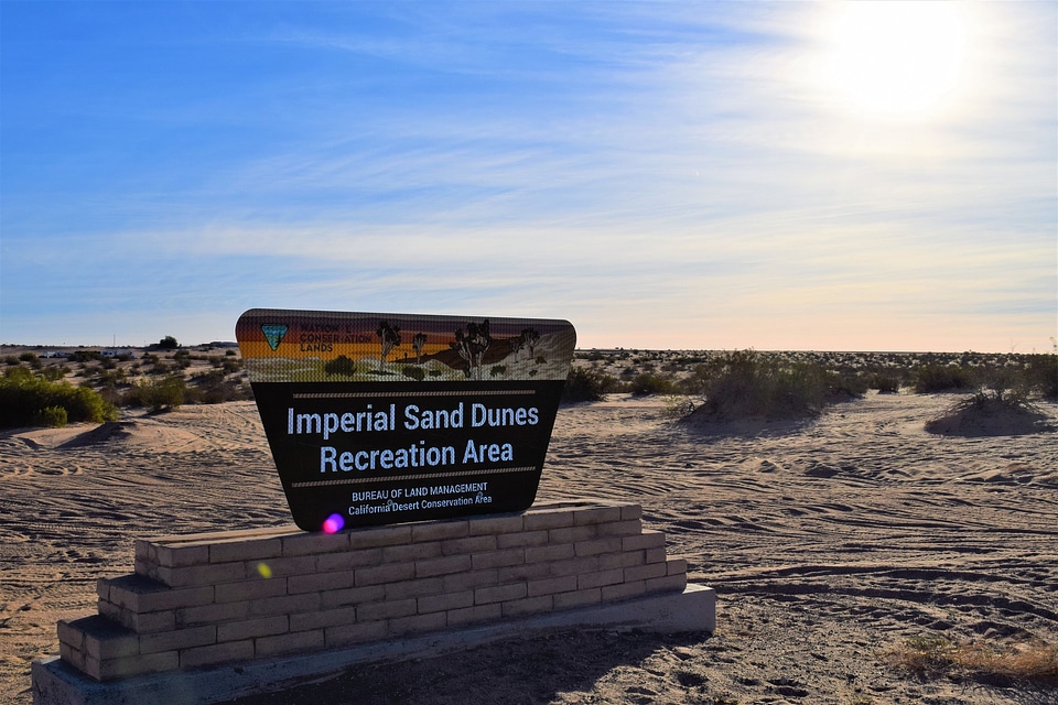 Imperial Sand Dunes Recreation Area