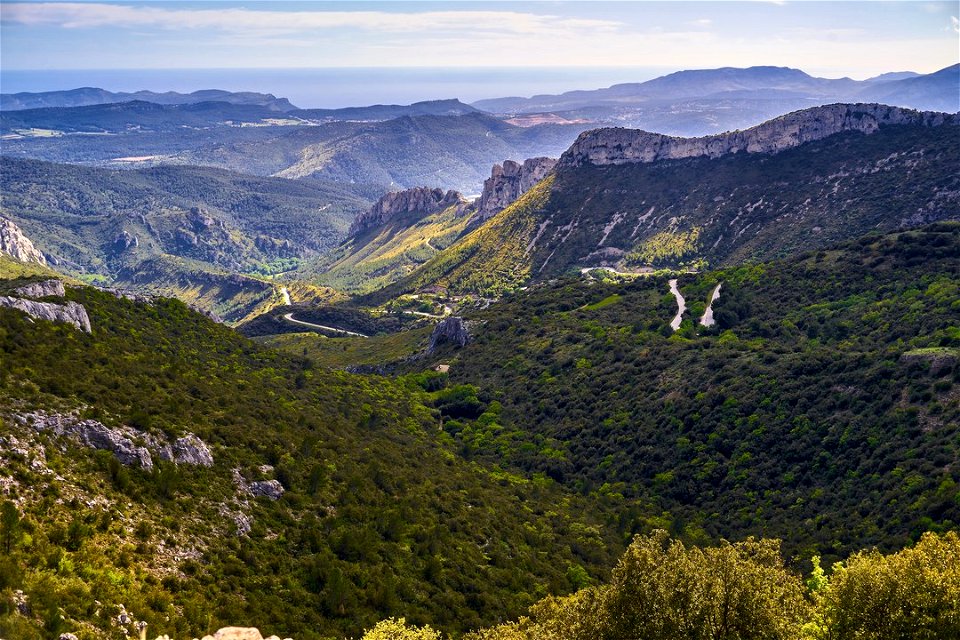 Provence - Vue du plan des vaches : takumar 50mm f4.0 smc