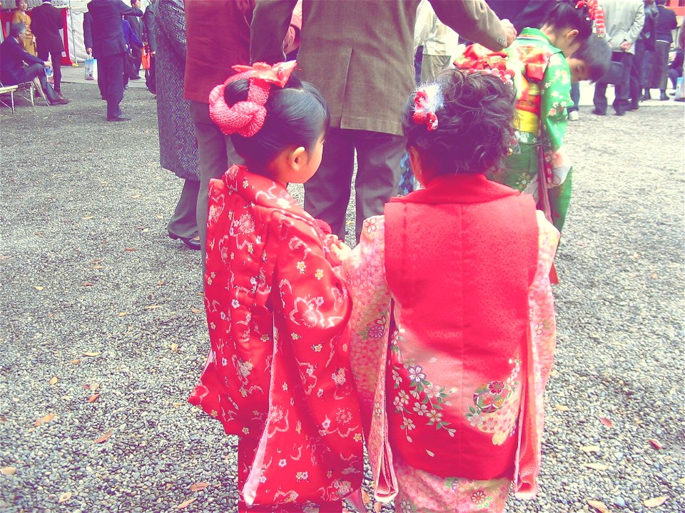 Shichi-Go-San  ( 七五三 )