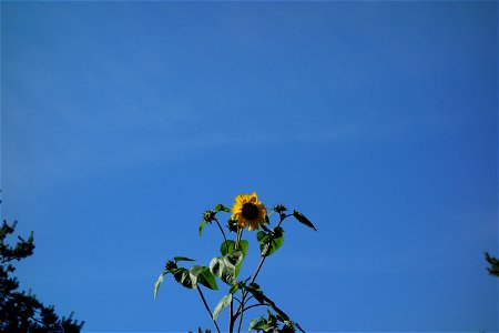 DSC08833