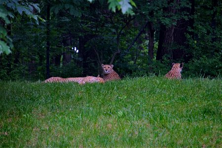 IMG_3197