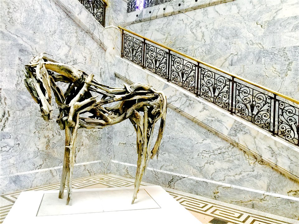 horse
