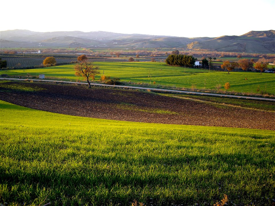 Campagna di Larino
