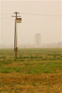 08WS0002_005