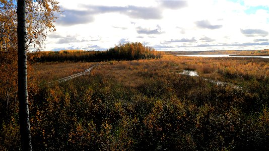 Näkymä Kasinniemen lintutornilta, Siikalahti