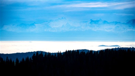 Schwarzwald und Alpen