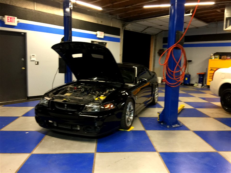 Ford-Mustang-Cobra-at-The-Late-Night-Speed-Shop