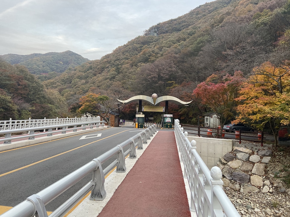 Fall Foliage Naejangsan National Park